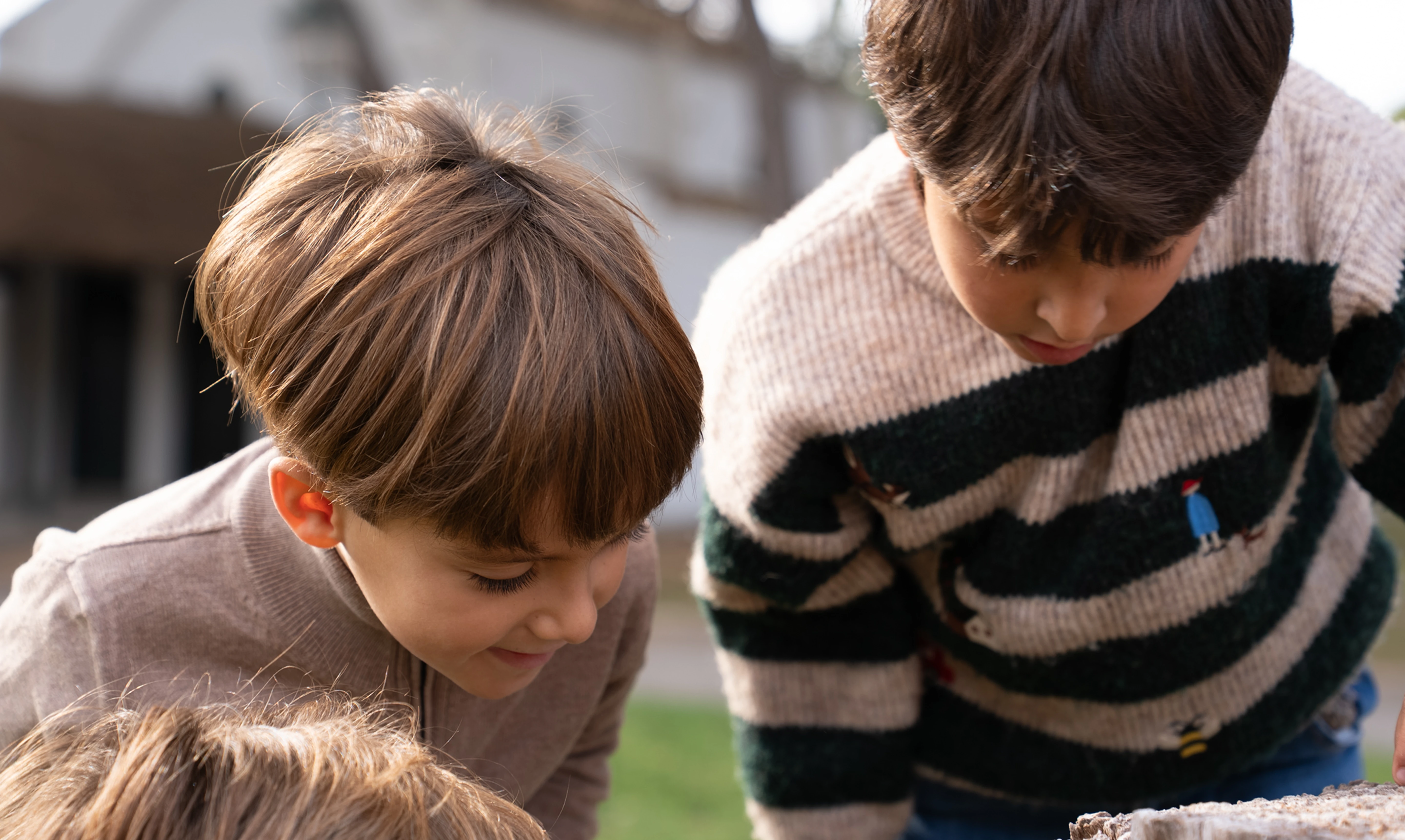 Imagen de un centro de mentalia.